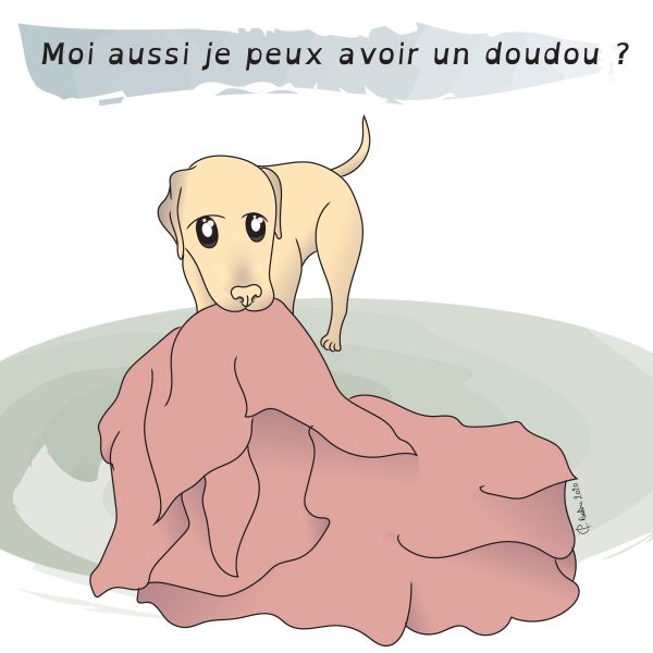 Chien d'assistance